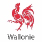 https://www.financite.be/sites/default/files/logo_wallonie_definitif_0.jpg