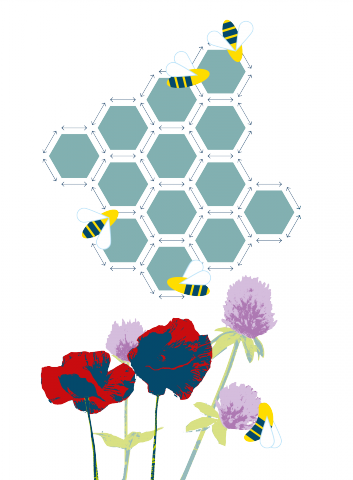 illu finsol